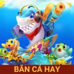 bắn cá hay