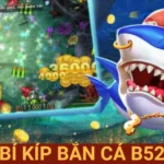 Bí kíp bắn cá