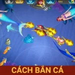 cách bắn cá