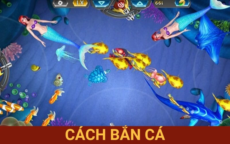 cách bắn cá