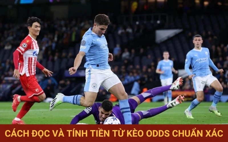 Hướng dẫn đọc odds và tính thưởng