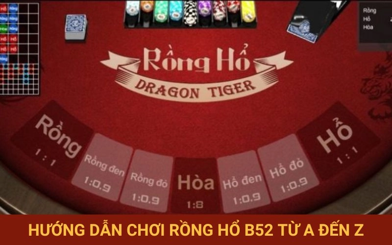 Những chỉ dẫn tham gia Rồng Hổ cụ thể